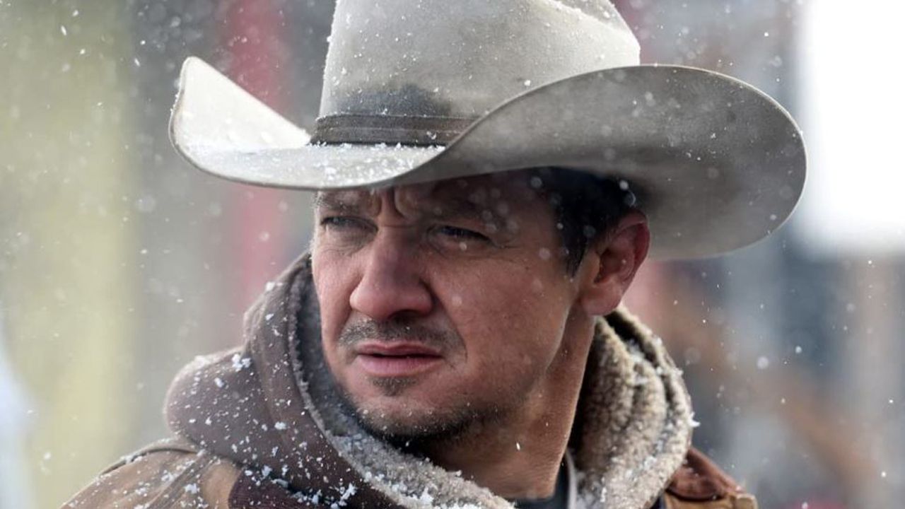 renner_2.jpg