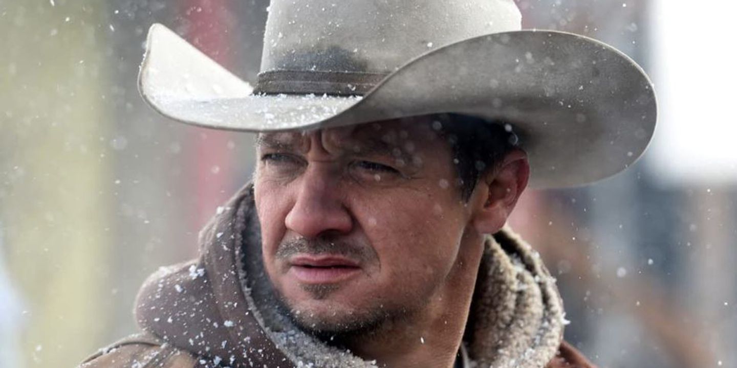 renner_2.jpg