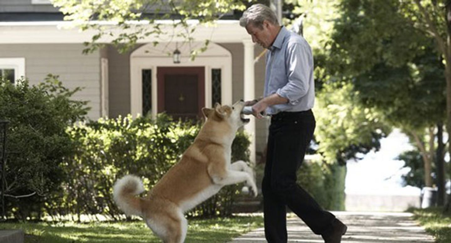 Hachiko © Filmkompagniet