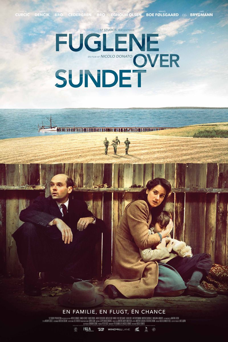 fuglene-over-sundet-galleri3.jpg