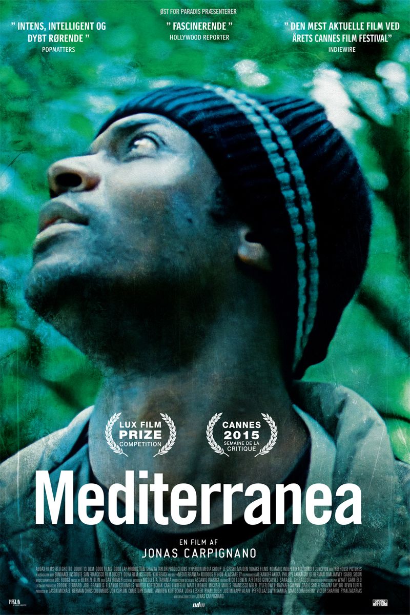 mediterranea_gallerip.jpg