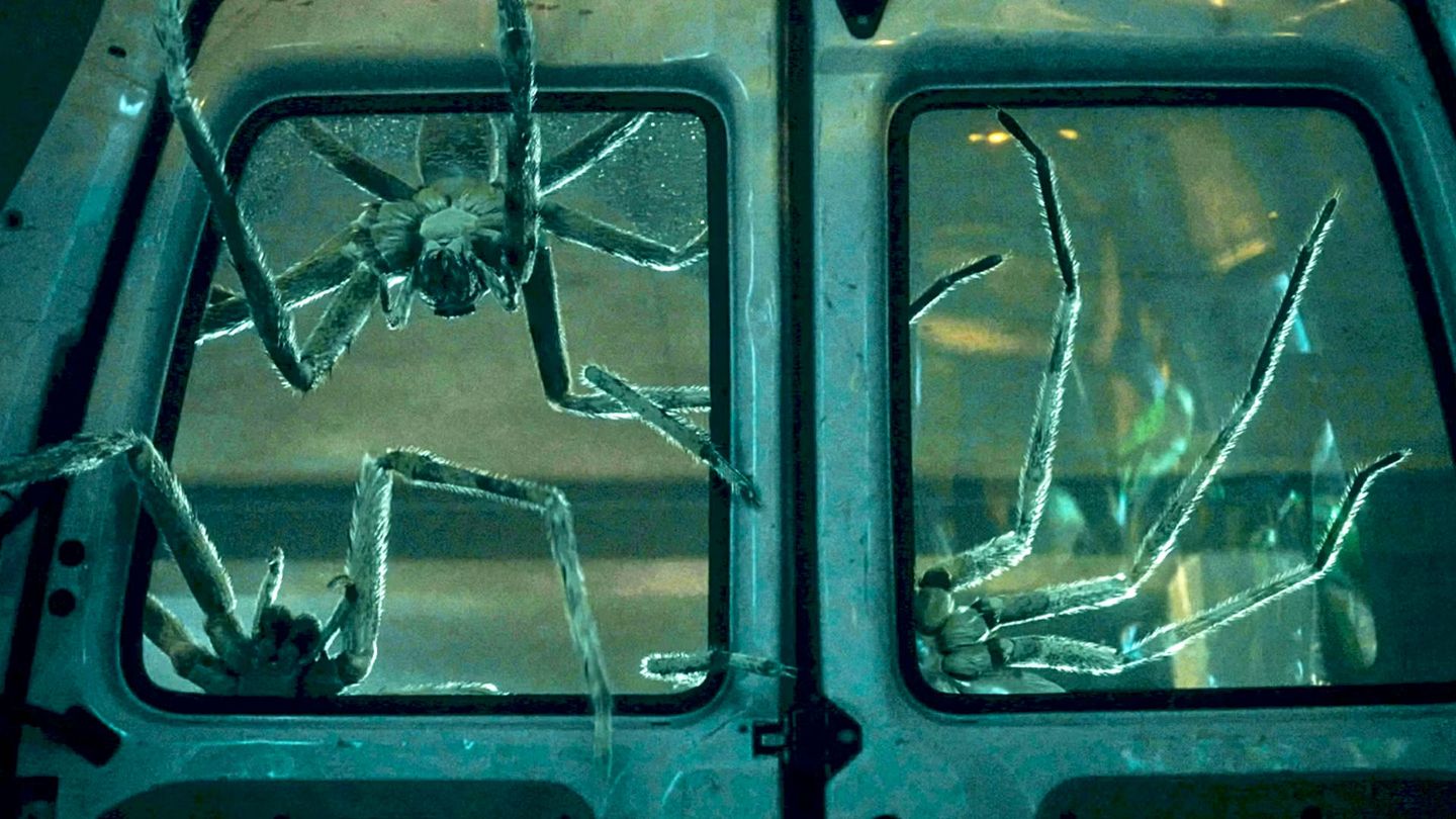 My Box Productions / Infested