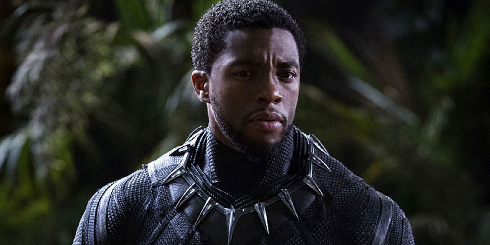 blackpanther_1.jpg