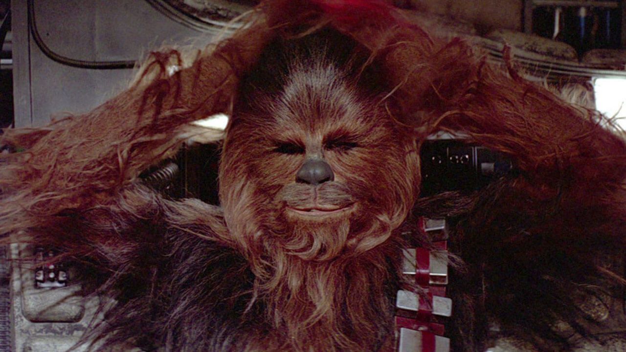 chewbacca.jpg
