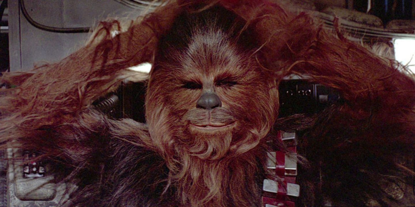 chewbacca.jpg