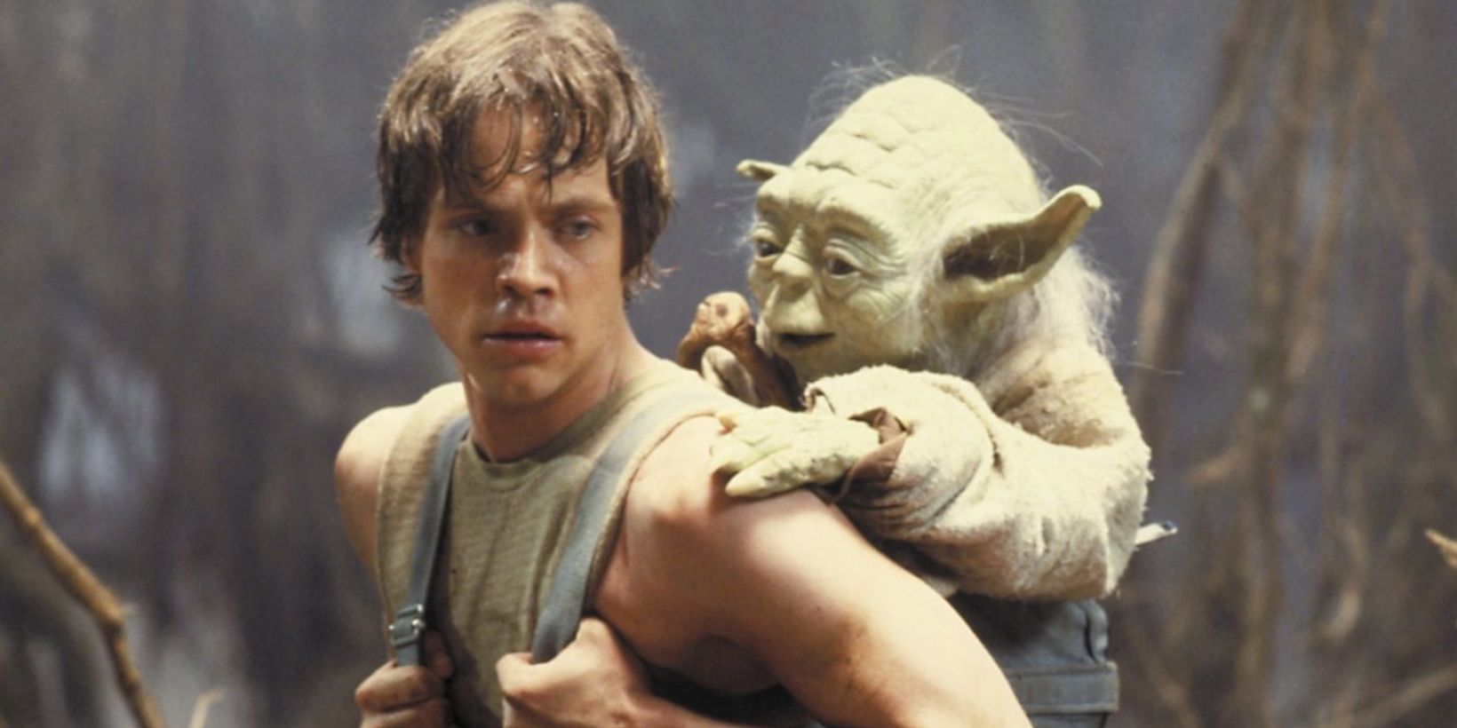 markhamill.jpeg