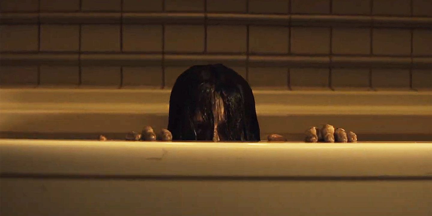 grudgetrailer2billede2.jpg