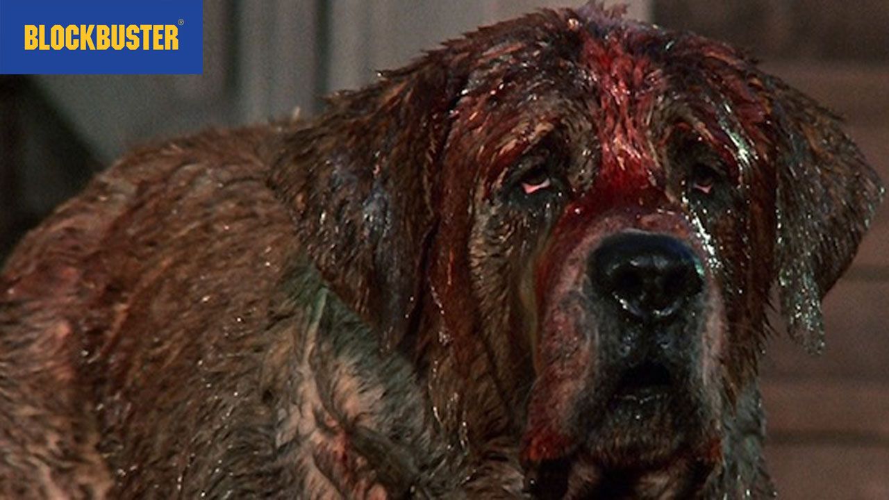 cujo_0.jpg