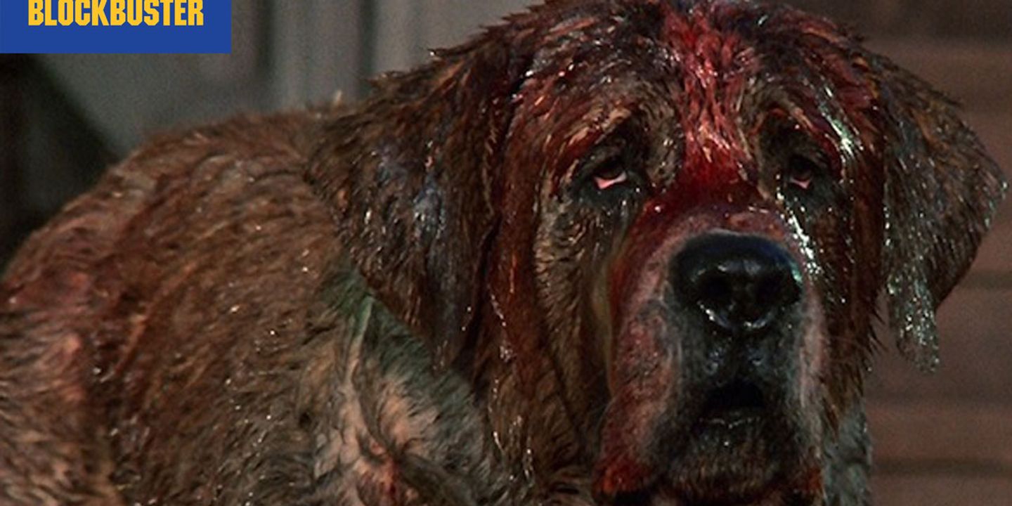 cujo_0.jpg