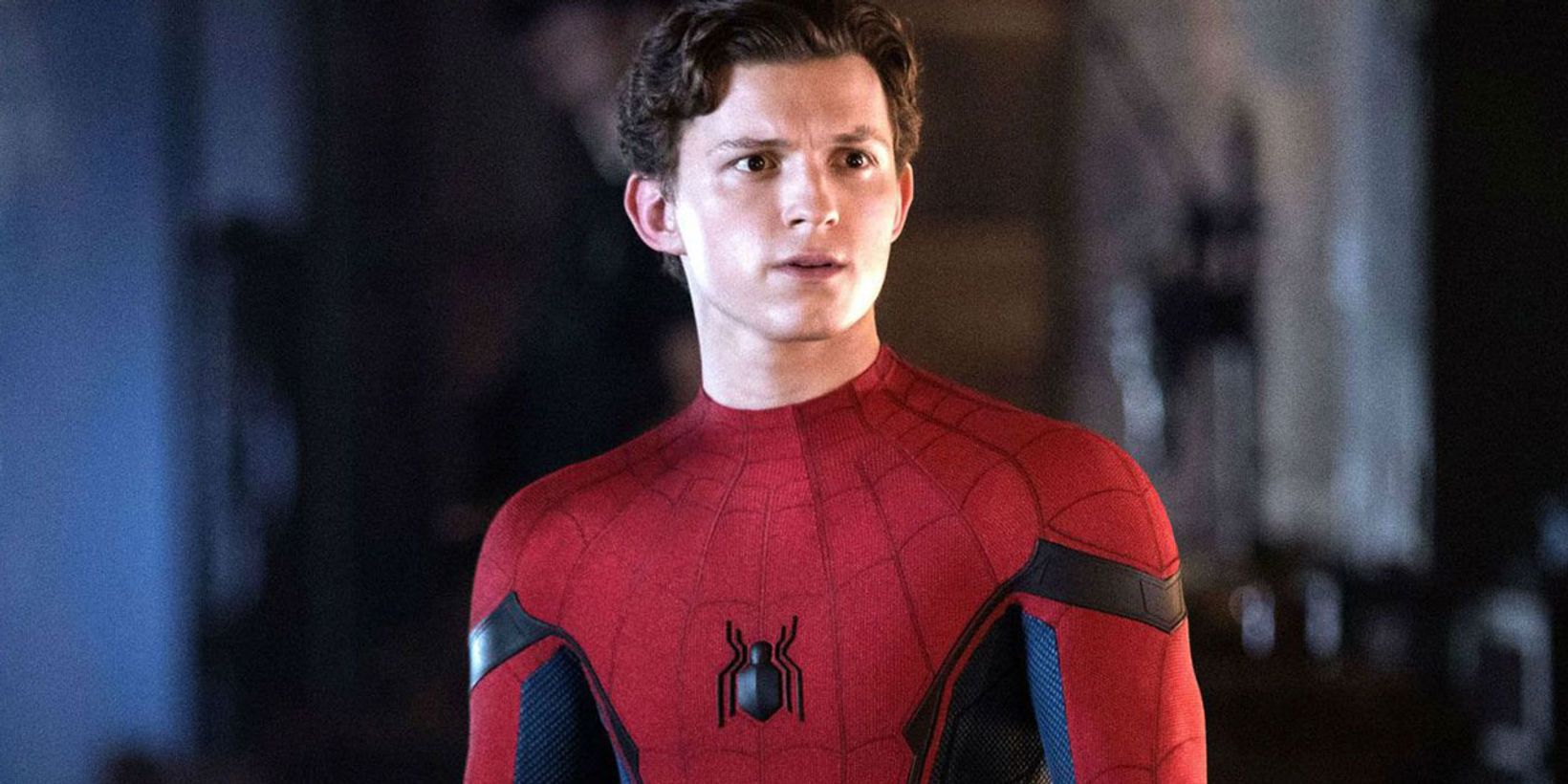 tomholland_1.jpg