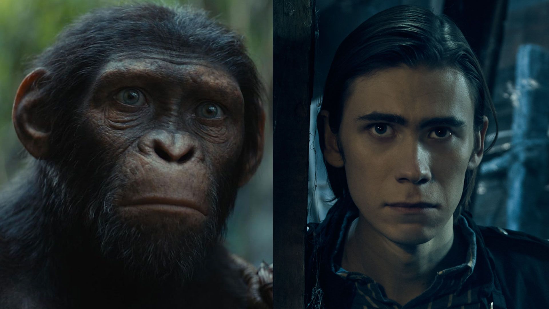 Kingdom of the Planet of the Apes (Disney)