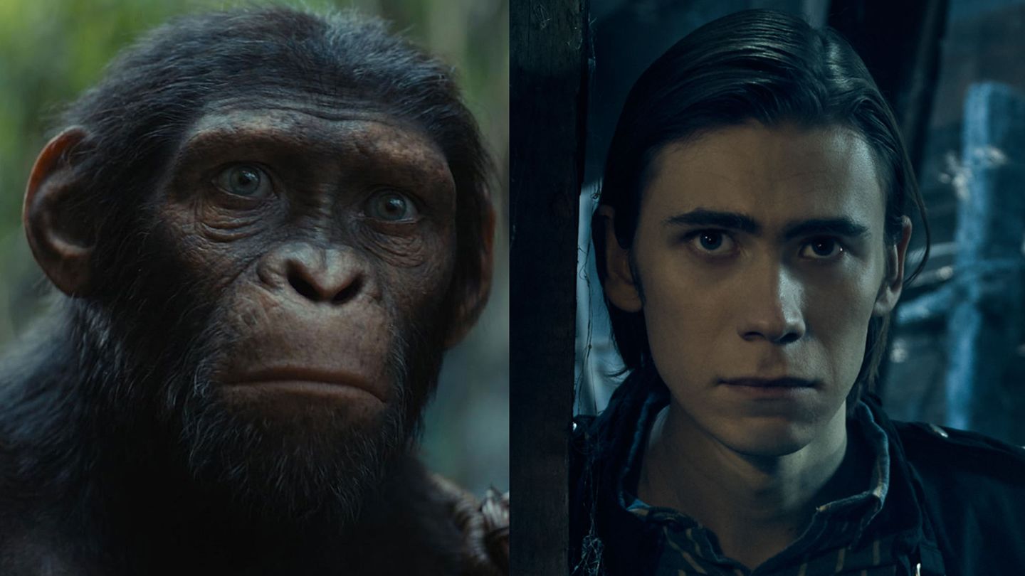 Kingdom of the Planet of the Apes (Disney)