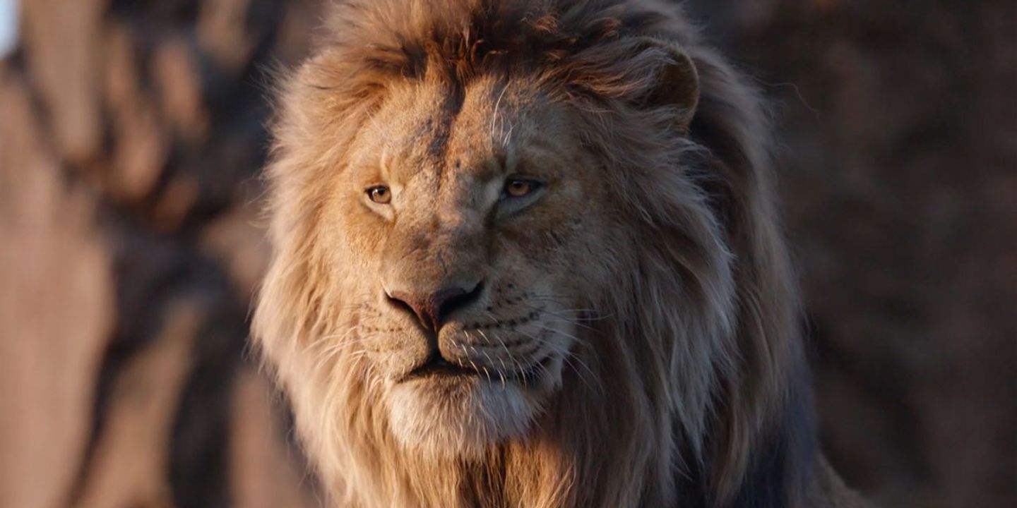 lionking_2.jpg