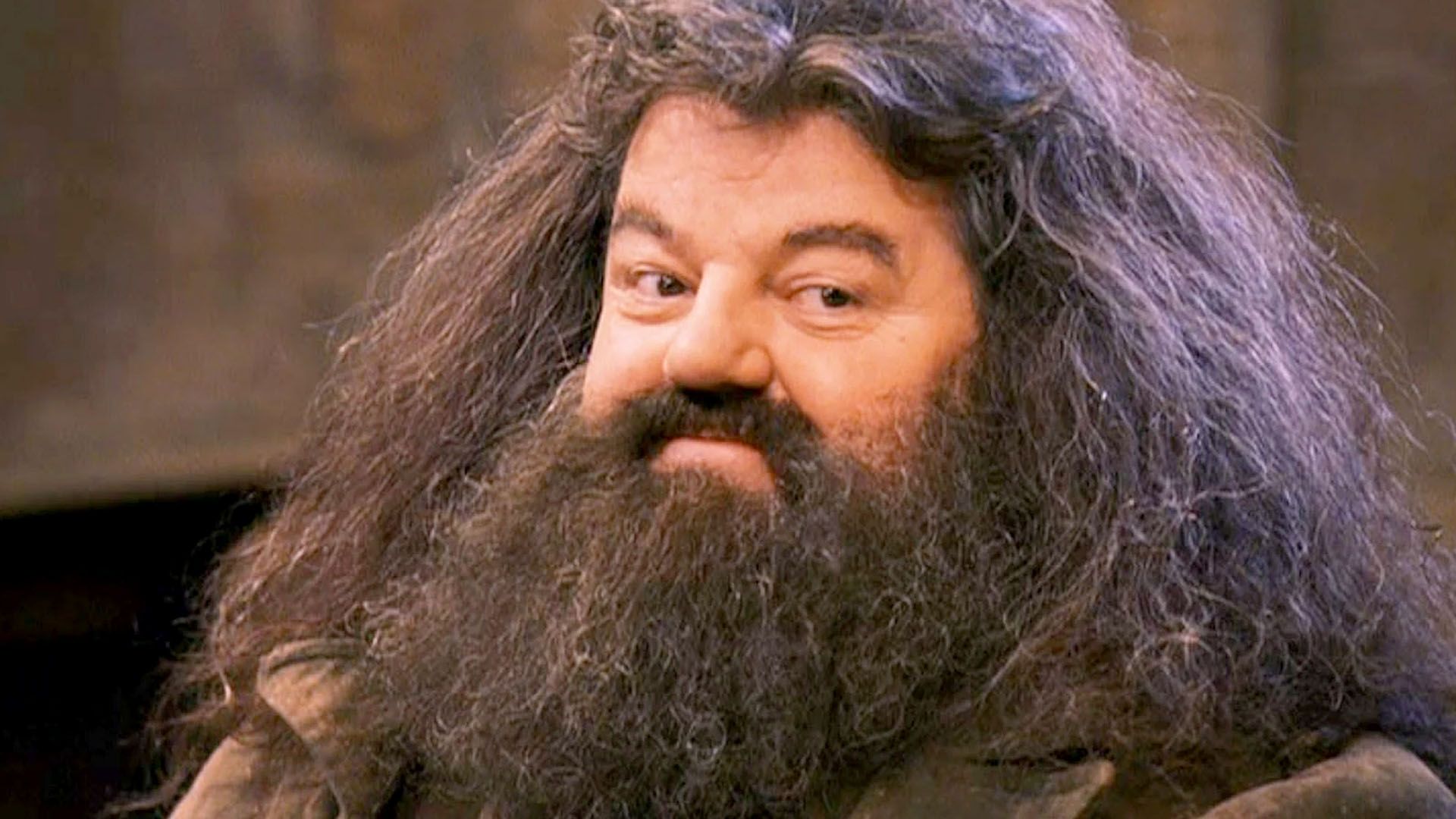 Rubeus Hagrid Harry Potter