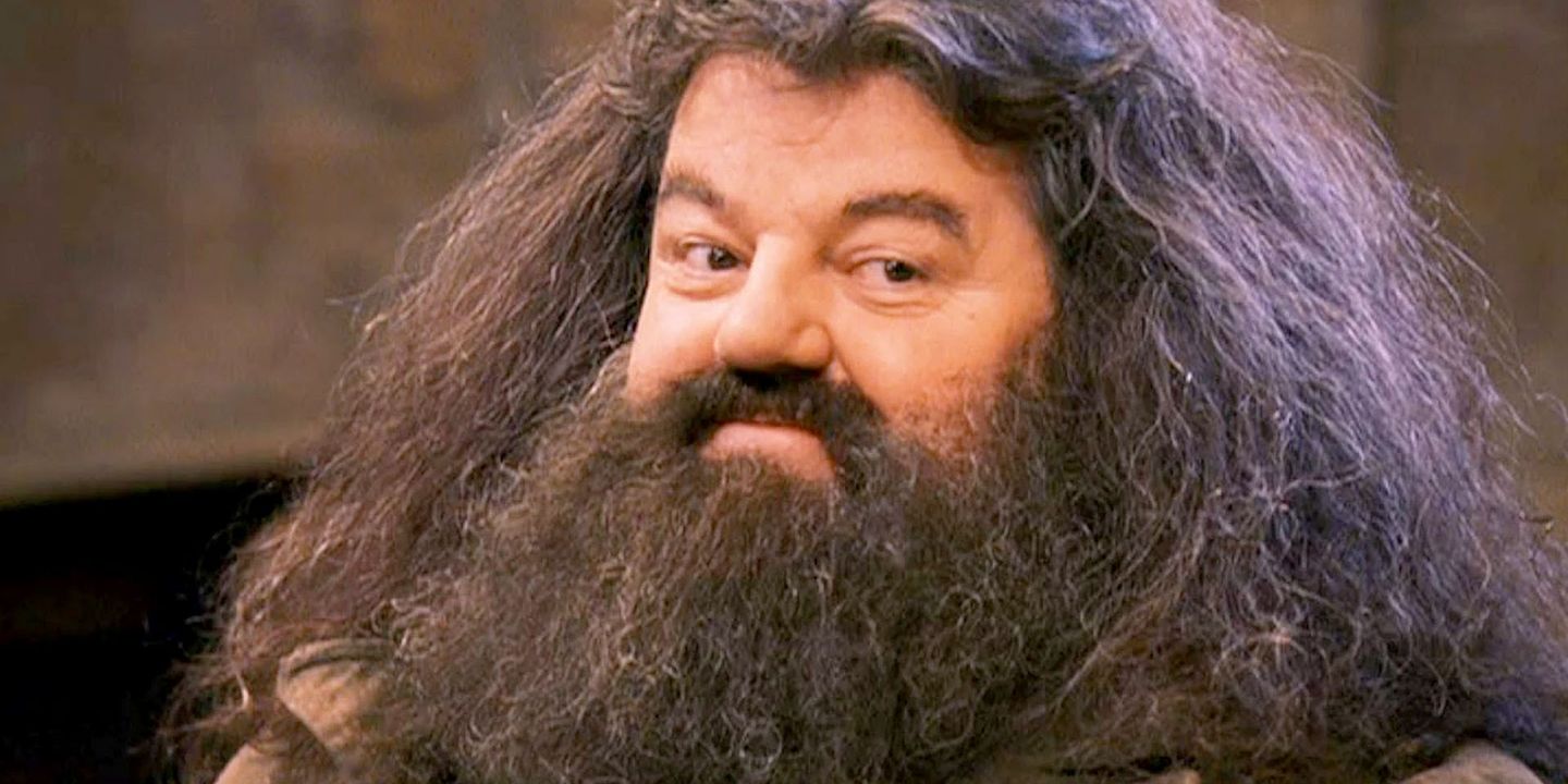 Rubeus Hagrid Harry Potter