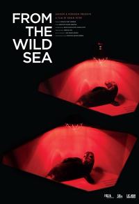 Plakat for 'From the Wild Sea - DoaS'