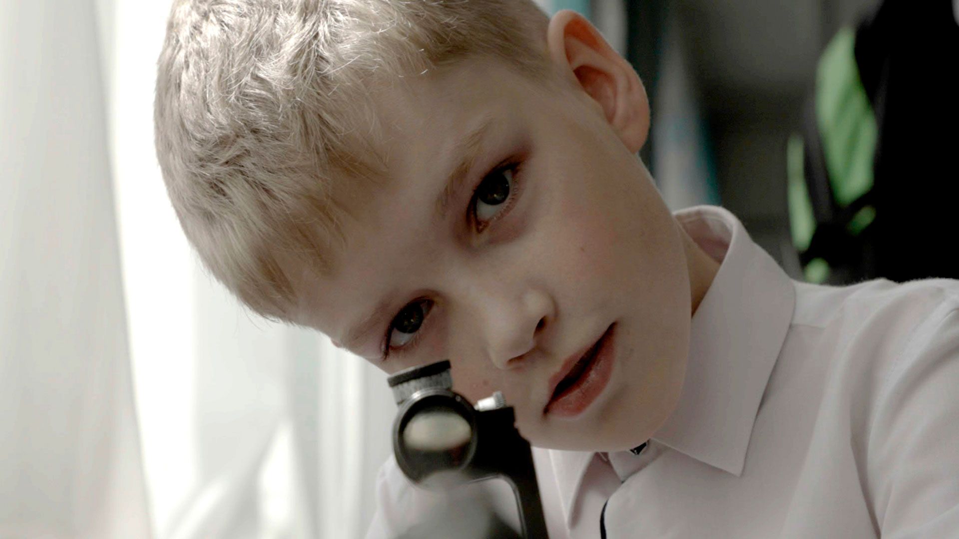 Mr. Nobody Against Putin