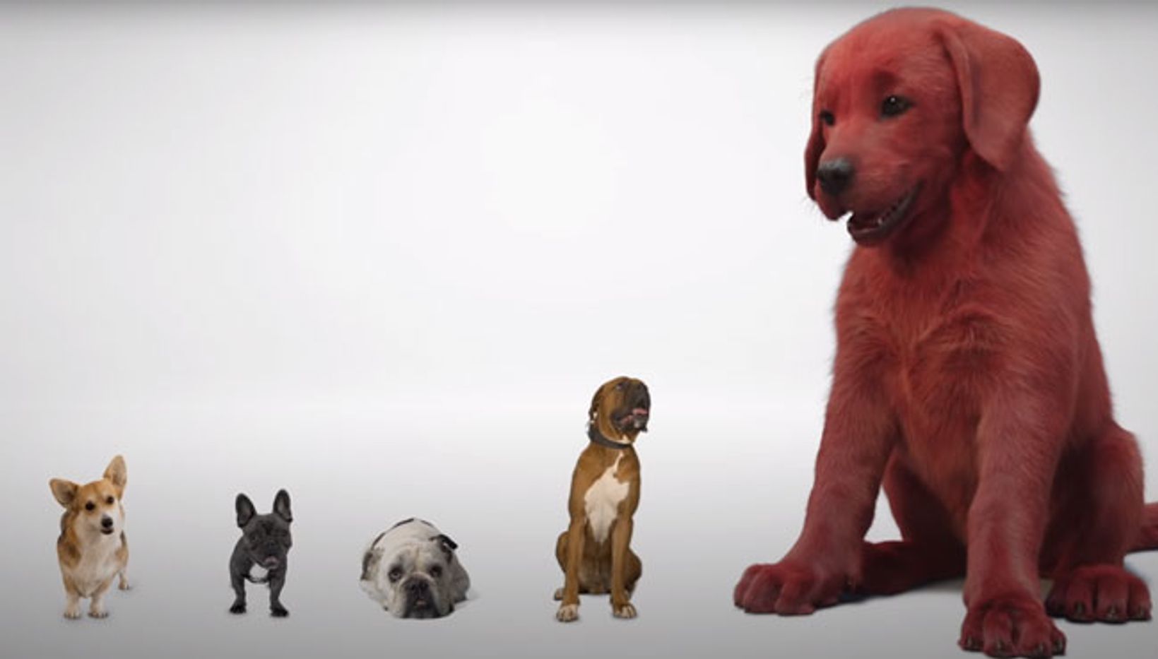 Clifford The Big Red Dog