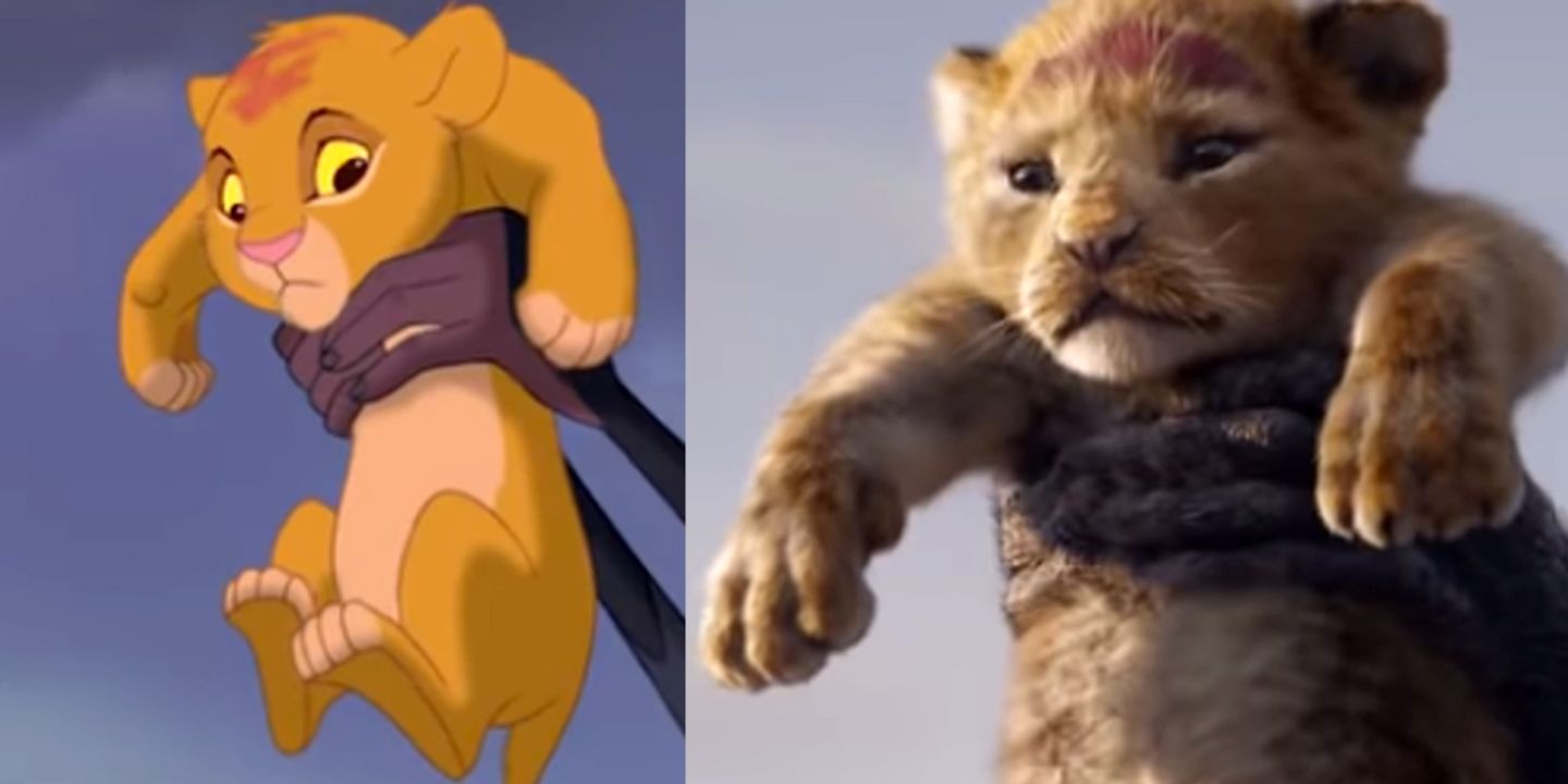lion3.jpg