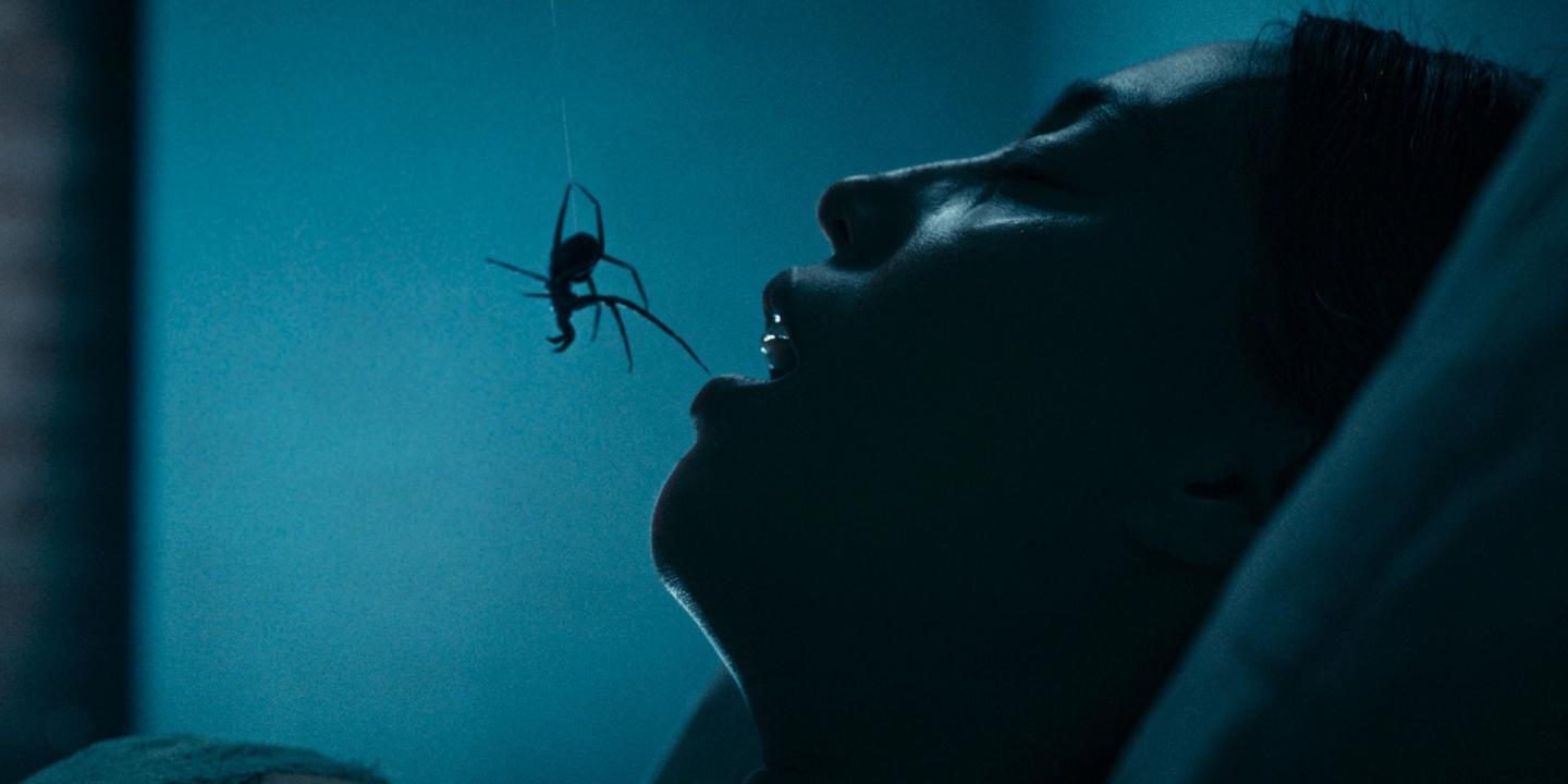 Crawlers