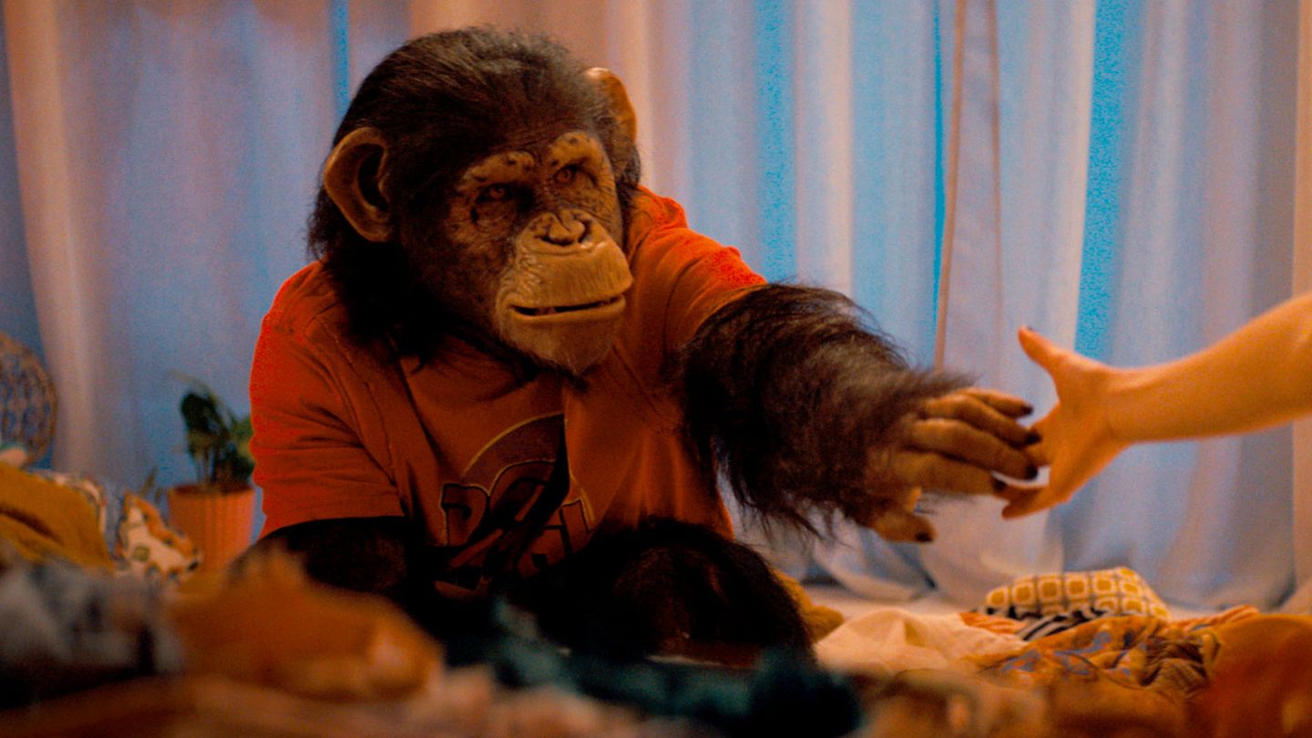 Primate
