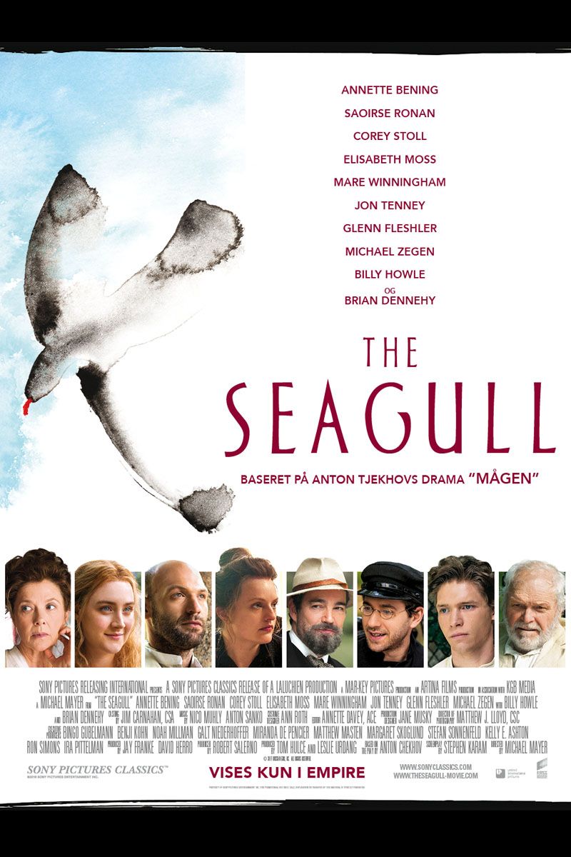 seagull17_rgb.jpg