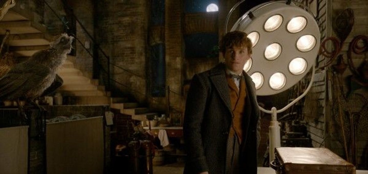 fantastic-beasts-the-crimes-of-grindelwald-newt