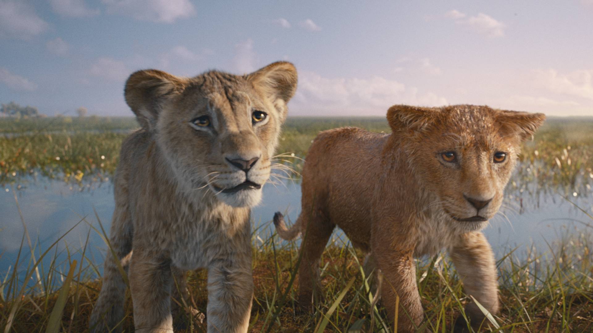 Mufasa