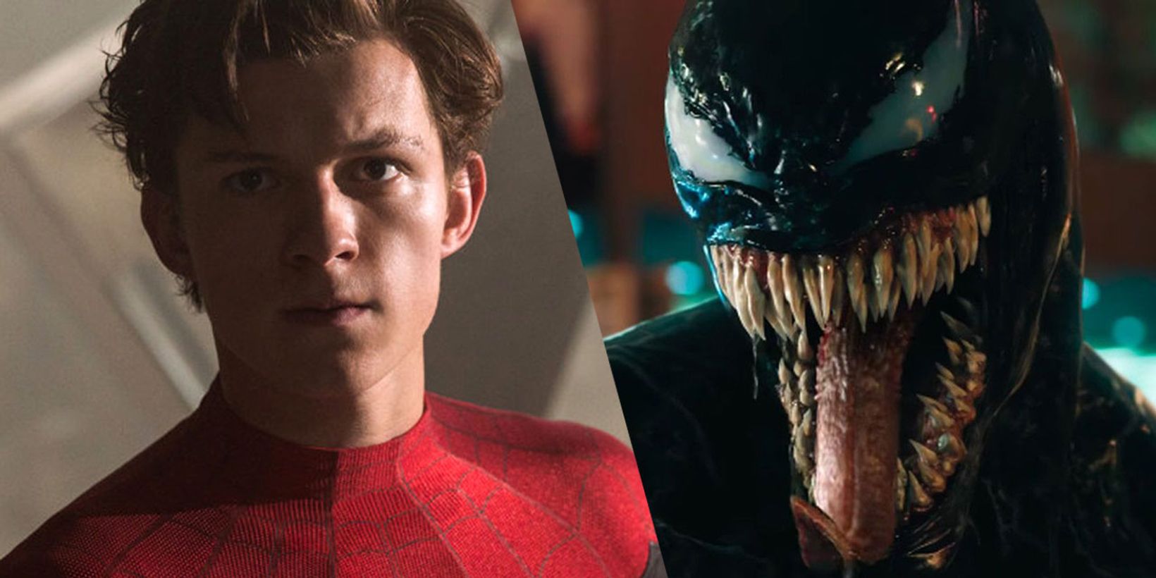 Spider-Man / Venom