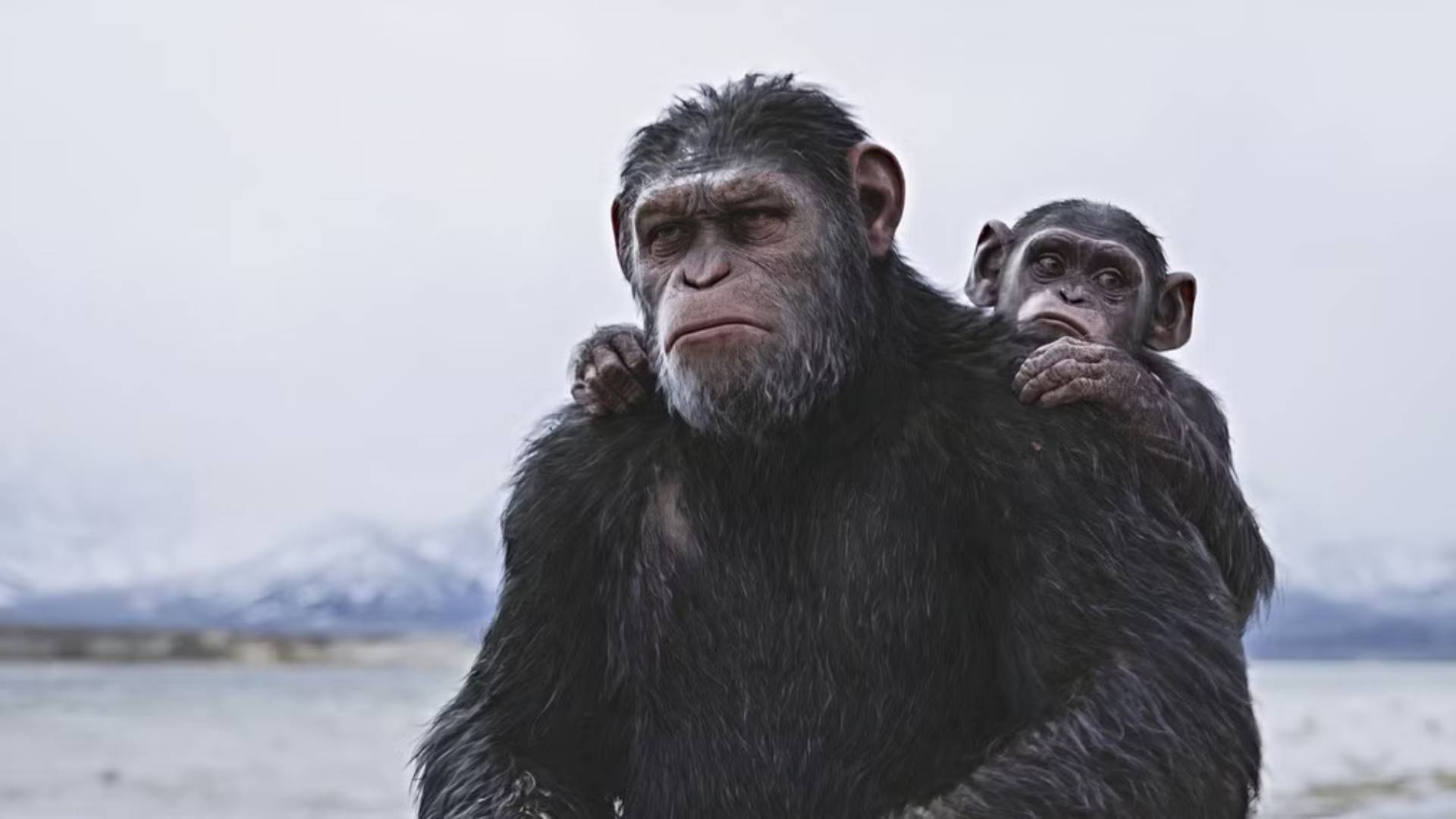 War for the Planet of the Apes