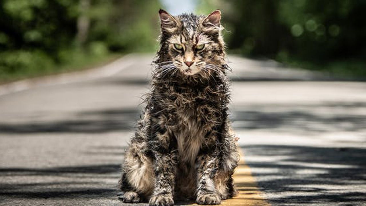 church-the-cat-in-pet-sematary.jpg