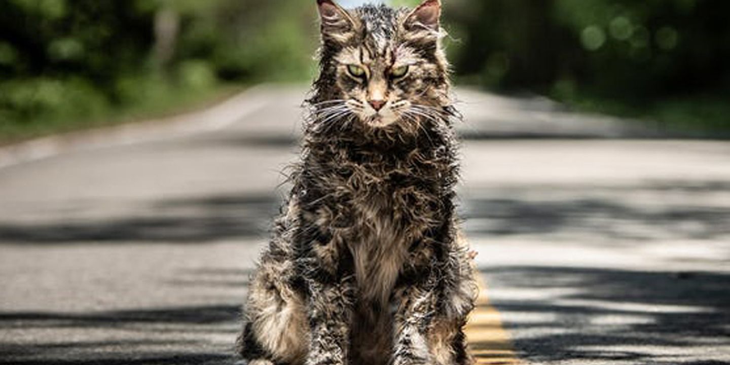 church-the-cat-in-pet-sematary.jpg