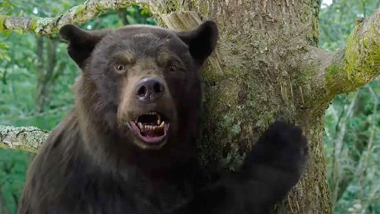 Cocaine Bear