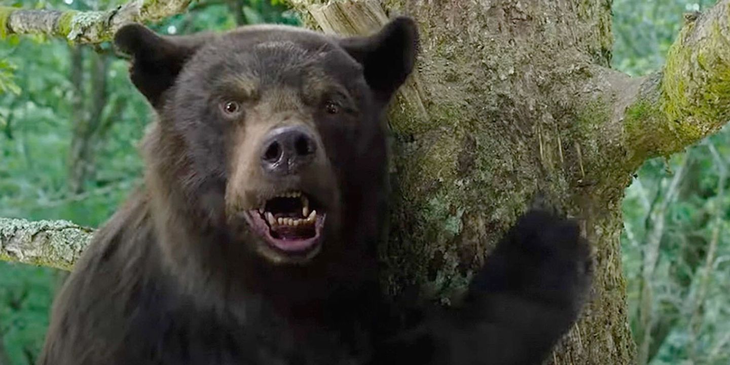Cocaine Bear