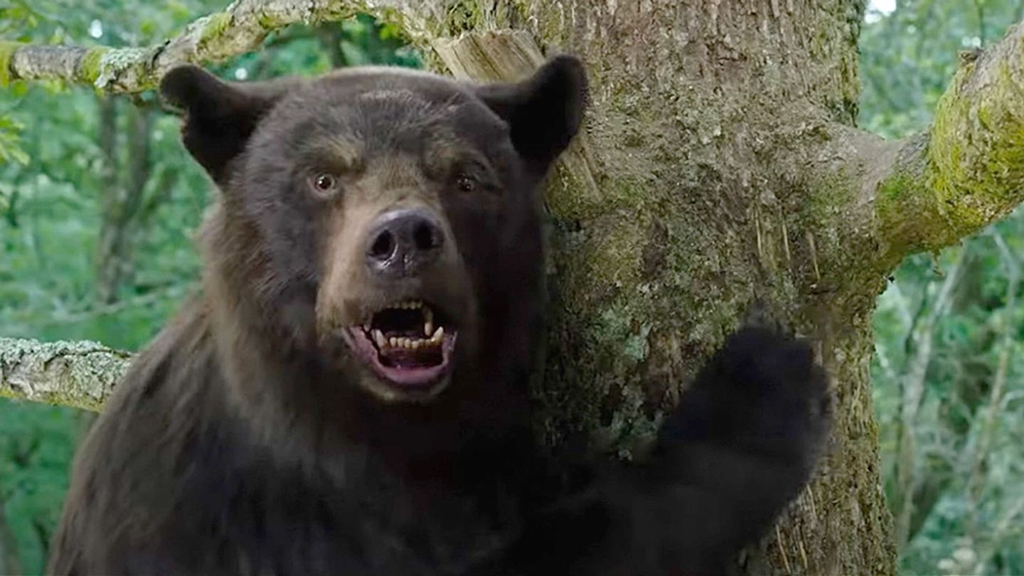 Cocaine Bear