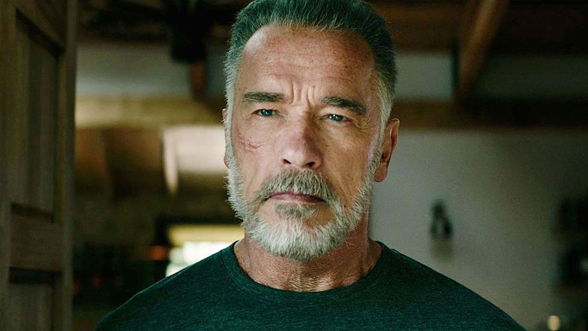 Terminator: Dark Fate 2019