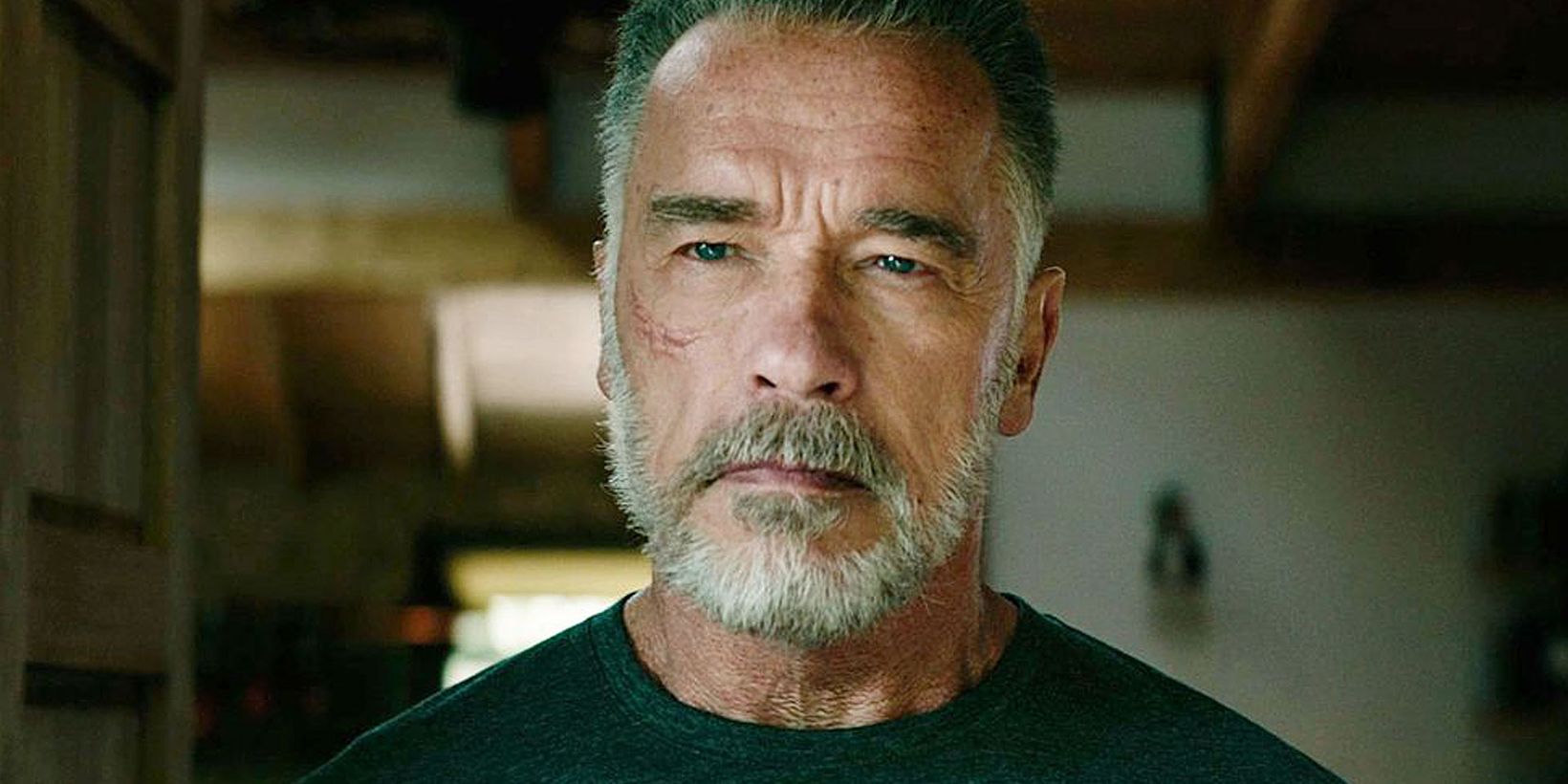 Terminator: Dark Fate 2019