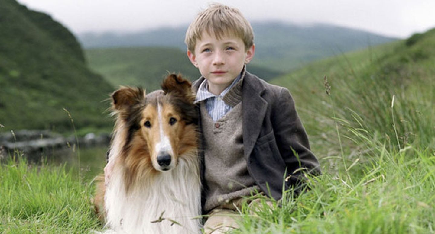 Lassie © Filmkompagniet