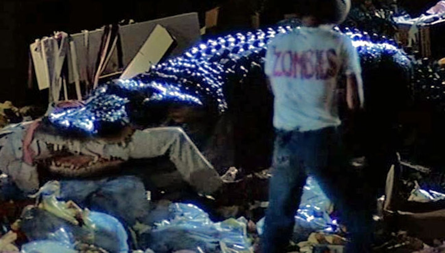 alligator-02.jpg