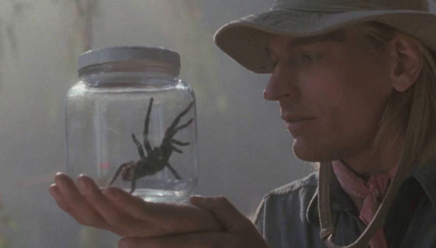 Arachnophobia / Warner Bros.