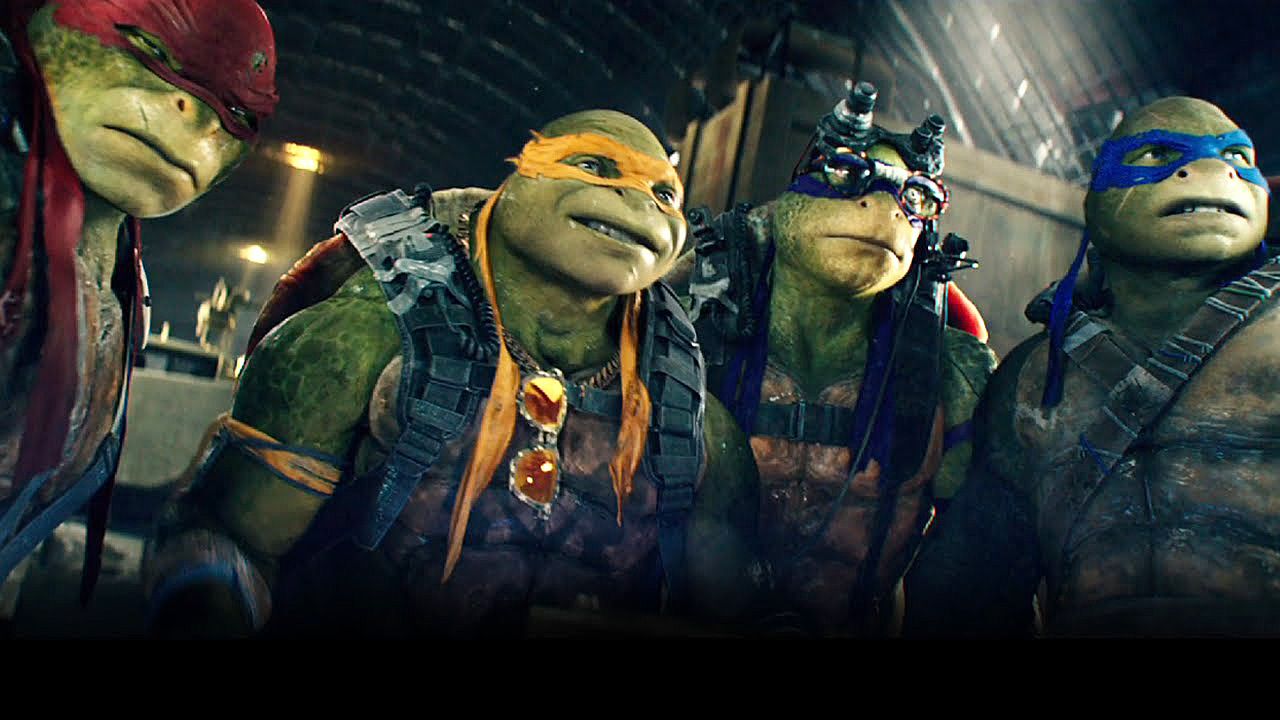 turtles.jpg