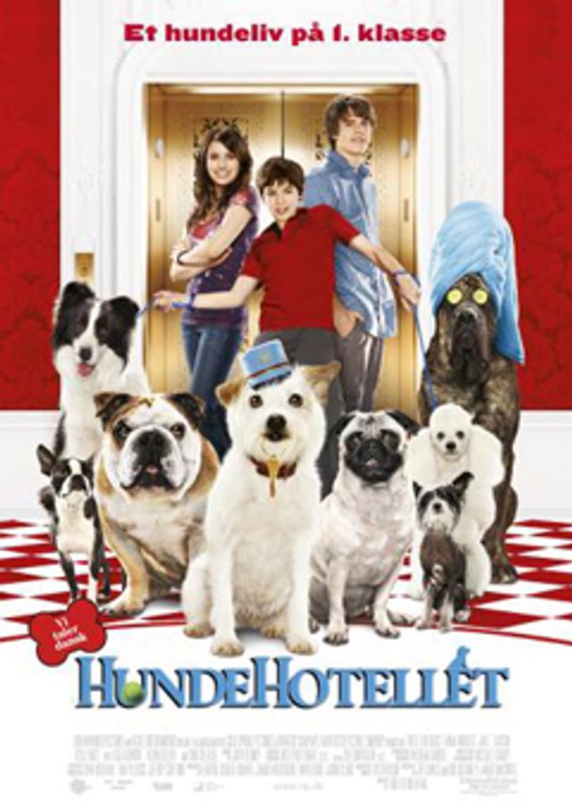 hundpromo_1.jpg