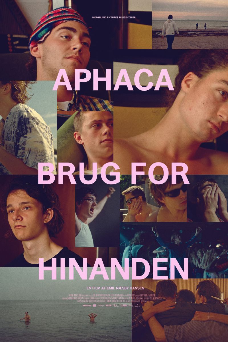 Aphaca