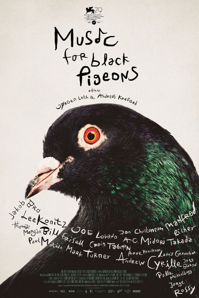 music-for-black-pidgeons-trailer_0.jpg