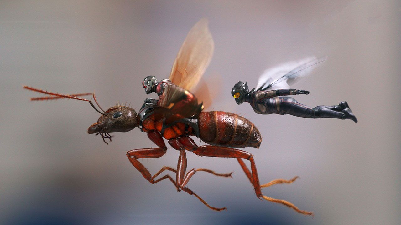 ant-man-and-the-wasp.jpg