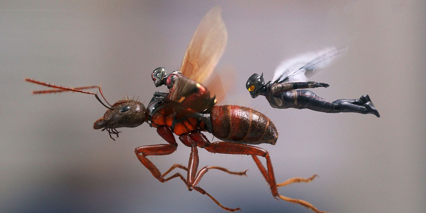 ant-man-and-the-wasp.jpg