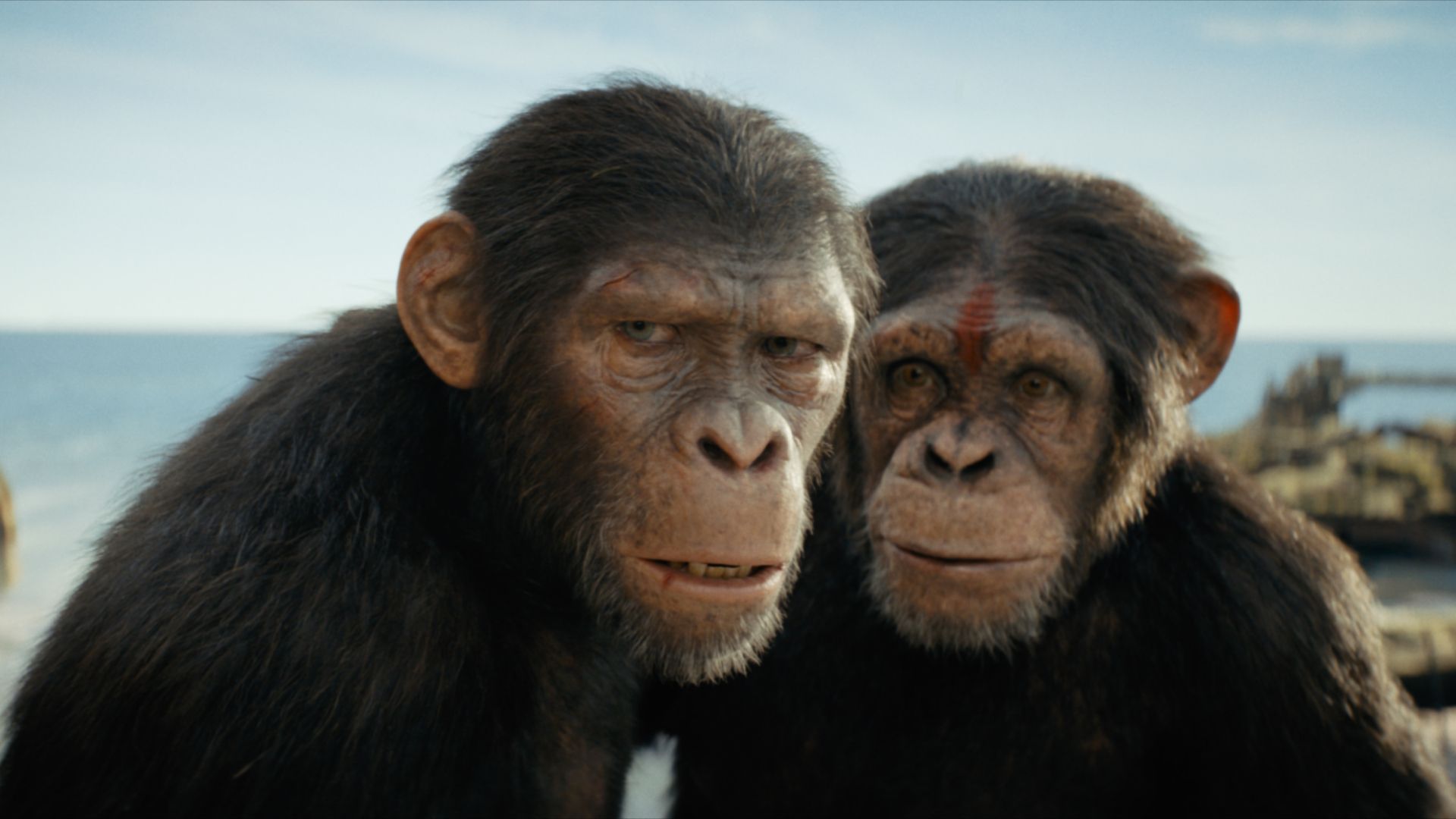 Kingdom of the Planet of the Apes