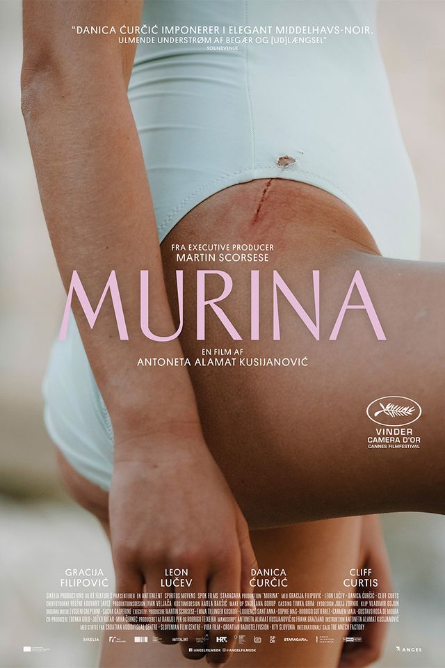 murina04.jpg