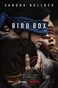 Plakat for 'Bird Box'