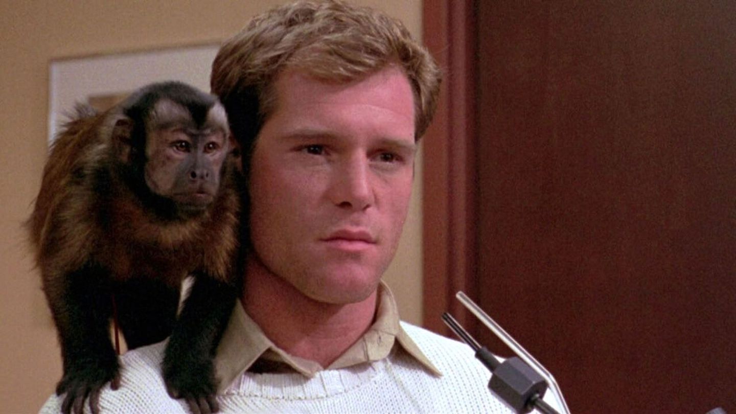 Monkey Shines